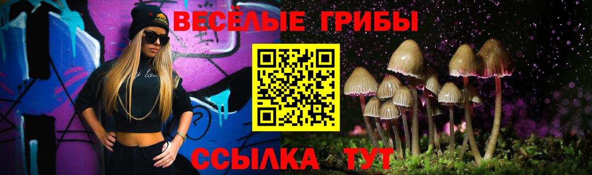 как найти наркотики  Псилоцибиновые грибы GOLDEN TEACHER  Вход с VPN  Бузулук  Псилоцибиновые грибы мухоморы 
